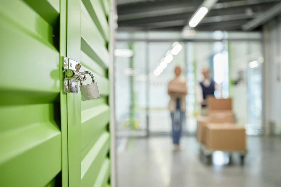 Intérieur moderne avec nombreux cartons de déménagement empilés, meubles emballés dans film plastique, plantes vertes, guitare acoustique et objets personnels
